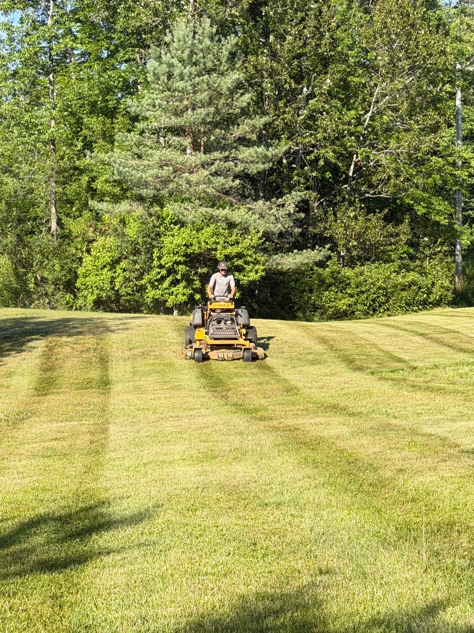 Freshly mowed stripes running toward a stand of pines on a Vermont lawn